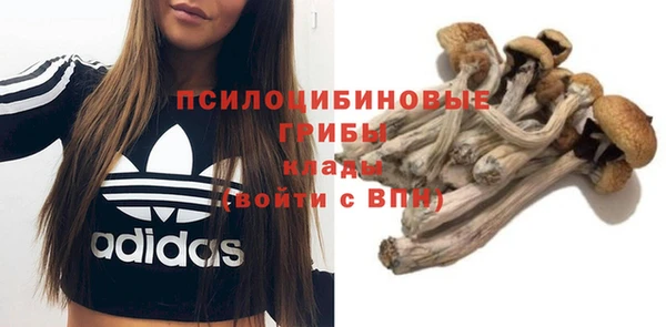 скорость Алзамай