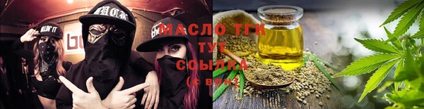 индика Абаза