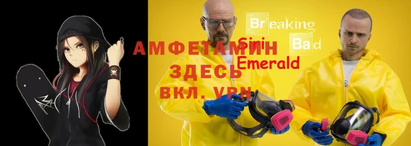 индика Абаза