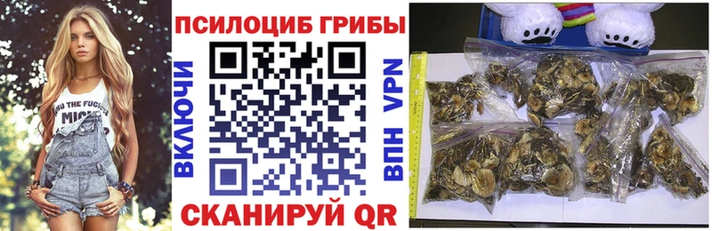 Псилоцибиновые грибы Cubensis  купить   Кириллов 